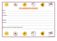 Pflanzensteckbrief-verfassen2.pdf
